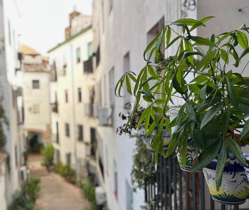 Apartamento Kenza Córdoba Exterior foto